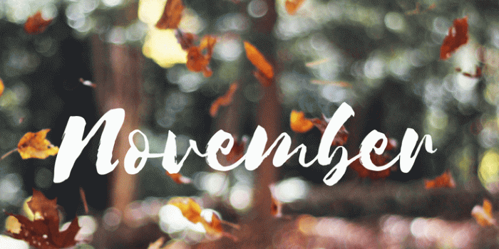 735x1102 Hello, November/Leaves Falling.... www.simplystine.com | just