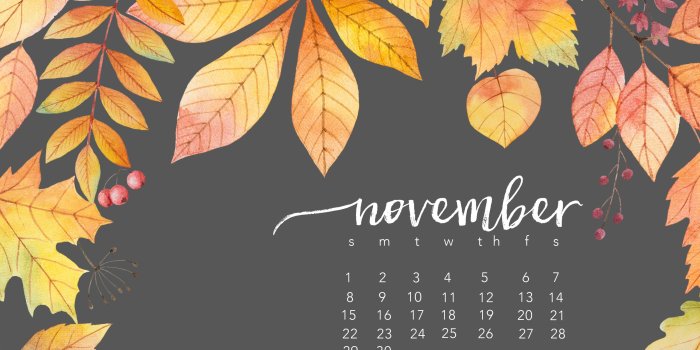 2560x1440 november 2015 [desktop wallpaper] — casey hurley photo