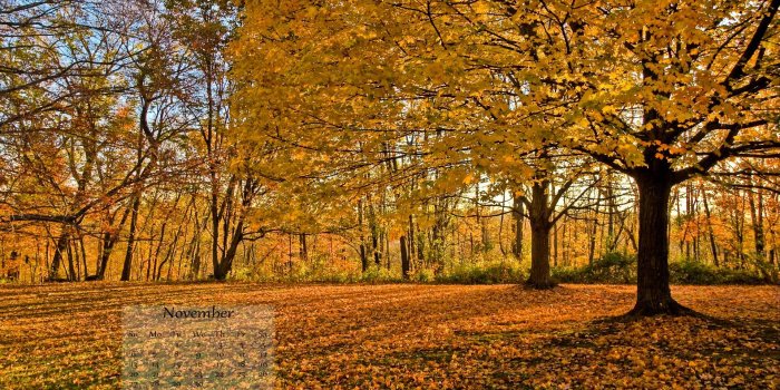 1920x1200 November Wallpapers