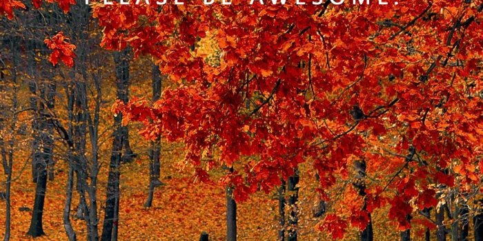 1125x2436 Free Wallpapers | yummystyled