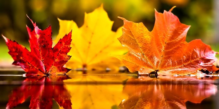 2048x1356 November Wallpapers