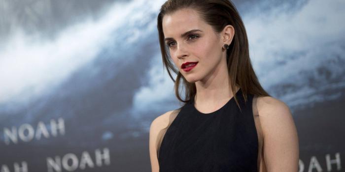 1332x850 Wallpaper look, movie, the film, actress, beauty, beauty, Emma