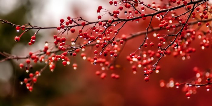 1920x1080 Top November Wallpapers #67535 Wallpaper | Download HD Wallpaper