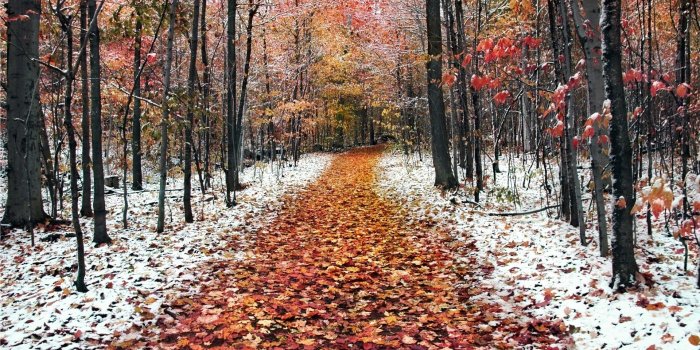 1920x1080 Happy November Images Wallpapers Photos Tumblr, Pinterest, Facebook