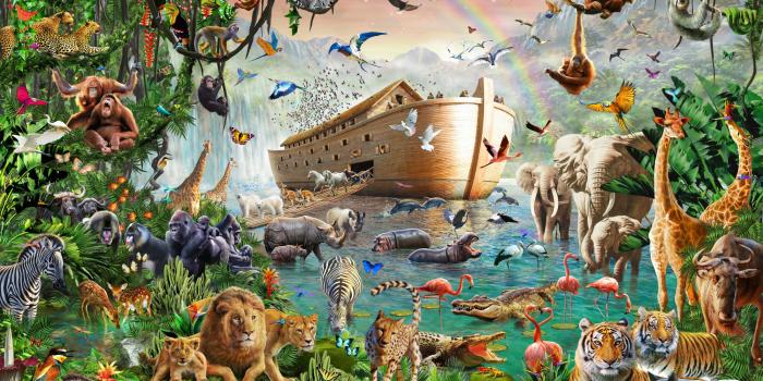 2000x1393 Noah's Ark Jumbo