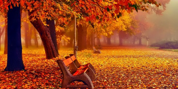 2048x1365 November Wallpapers - Wallperio.com