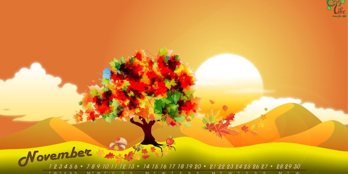 1920x1080 45+] November Wallpaper Pictures on WallpaperSafari