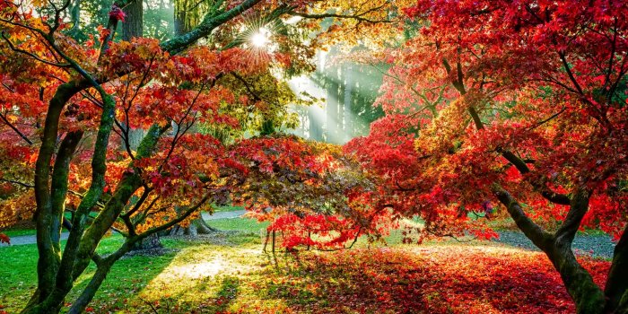 2048x1152 Best 52+ November Wallpaper on HipWallpaper | November Wallpaper