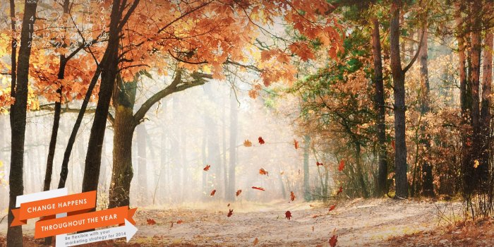 2560x1440 Our November wallpaper brings a change of Autumn scenery