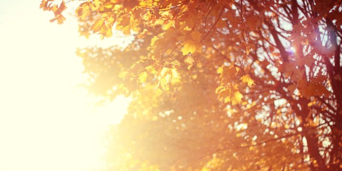 3840x2400 November Desktop Wallpaper , (46+) image collections of wallpapers