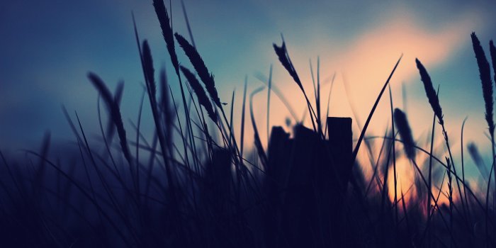 1920x1200 November Field Blue Sunset Free Wallpaper HD