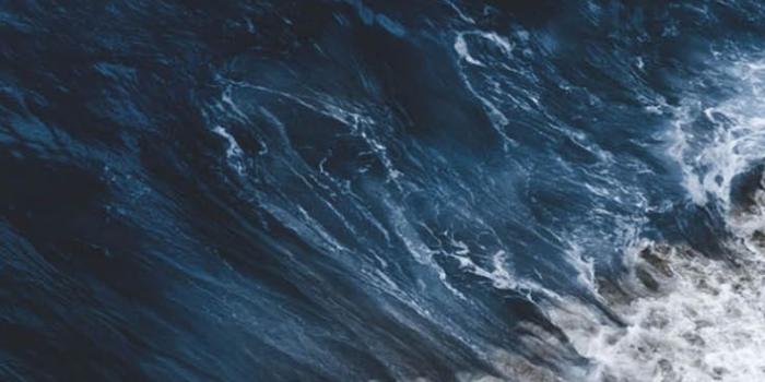 736x1308 Kicking Off 2019 With 10 Motivational iPhone X Wallpapers | Preppy