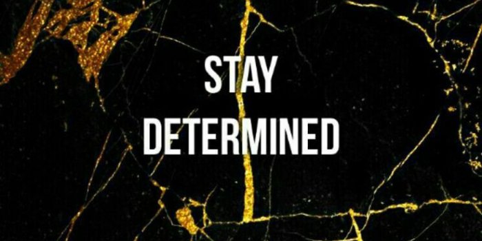 736x1377 Stay Determined | quotes | Fitness motivation wallpaper, Fitness