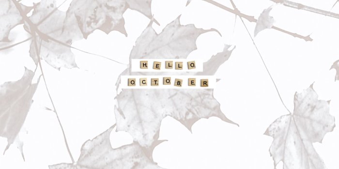 1536x2048 November WallPaper 2017 — Her Creative Studio