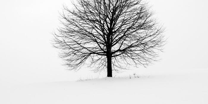 1080x1920 Free your mind mobile wallpaper - VIVE CON STYLE