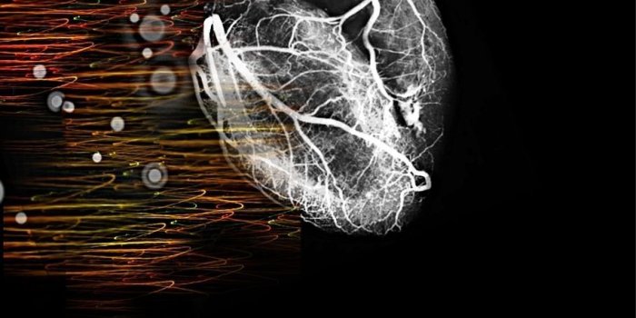 908x970 Cardiology Wallpaper | Cardiology Wallpaper | University, studying