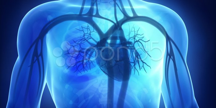 1920x1080 38+] Cardiology Wallpaper on WallpaperSafari