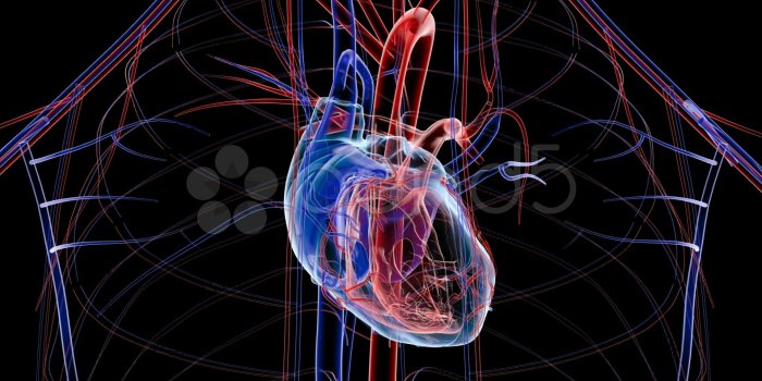 1920x1080 Best 53+ Cardiology Wallpaper on HipWallpaper | Cardiology Wallpaper