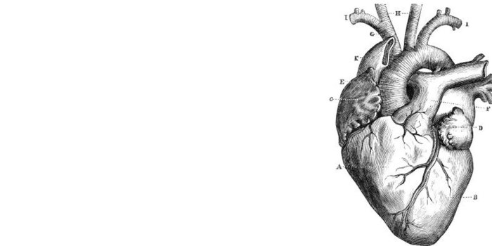 1646x592 Cardiology in Primary Care | Emory University | Atlanta GA