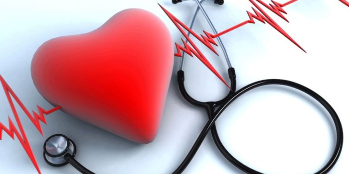 1024x768 Cardio Wallpapers