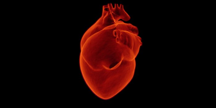 3840x2160 Free stock photo of attack, cardiologist, cardiology