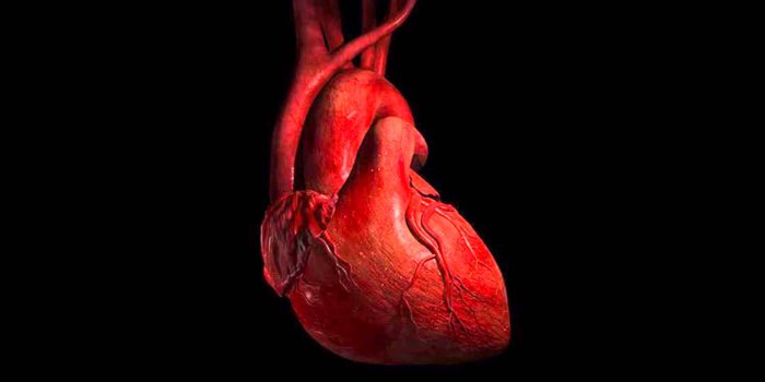 1920x1080 About Cardiology Events | Cardiac Conferences | 2019 | Heart Surgery