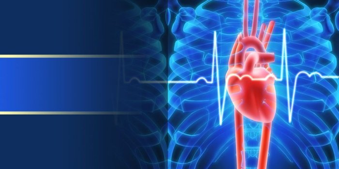 1024x768 Cardiology Templates | Cardiology Templates | Ppt template