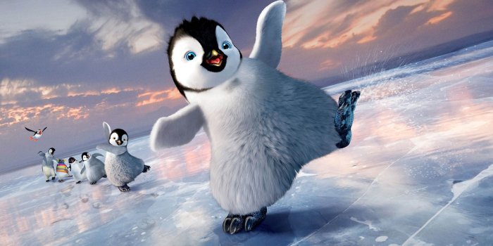 2560x1600 Penguin Wallpapers | Best Wallpapers