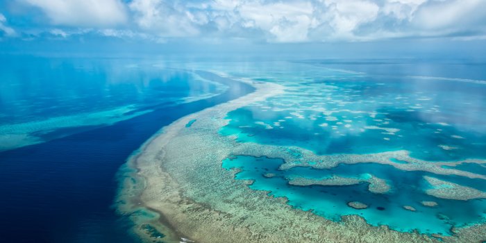 3840x2160 Wallpaper Microsoft Surface Hub, Great Barrier Reef, 4K, Nature, #4342