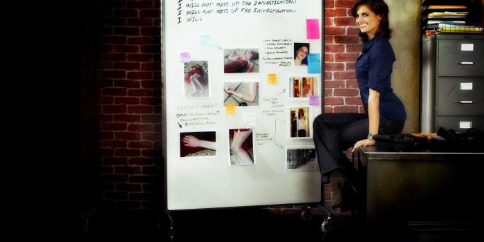 2311x1444 Rectangular dry-erase board, Castle (TV series), Stana Katić HD