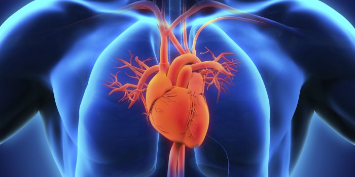1600x1200 Do I need to see a cardiologist? - Ask Doctor K - Ask Doctor K
