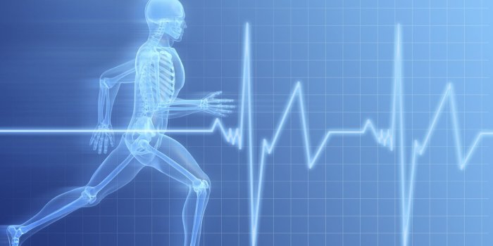 1600x1200 Cardio Wallpapers