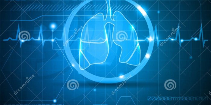 1280x1024 Download Cardiology Wallpaper Lungs and heart beat royalty