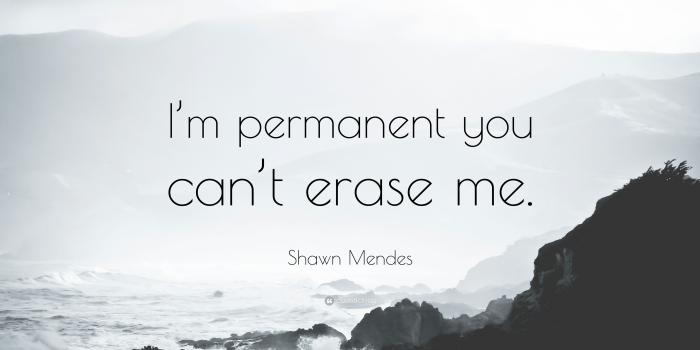 3840x2160 Shawn Mendes Quote: “I'm permanent you can't erase me.” (12