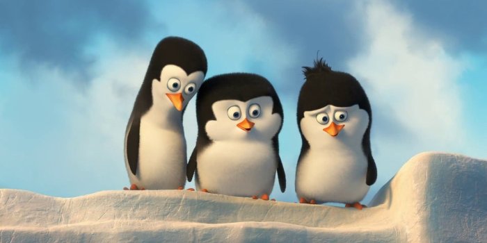 1920x1080 67+ Baby Penguin Wallpapers on WallpaperPlay