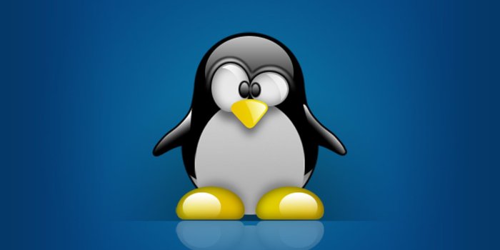 1600x1200 40+ Tux Penguin Wallpapers - Download at WallpaperBro