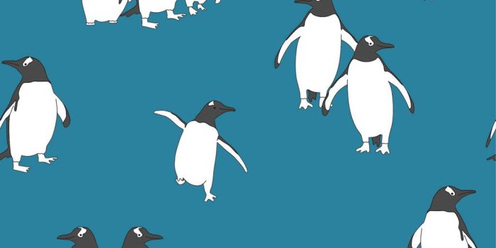 1024x1024 Penguin Children's Wallpaper