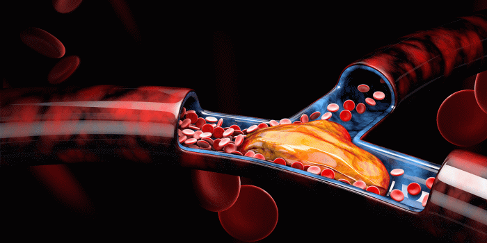 1366x768 Dr. Joseph Galichia | Cardiologist