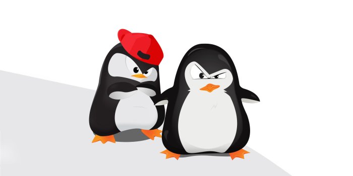 2560x1600 Gangster penguins wallpaper - Vector wallpapers - #18852