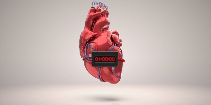 1920x1080 ArtStation - ROCHE - Cardiac, Ali Hazime