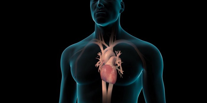 2560x1440 Cardiac Rehabilitation | INTEGRIS