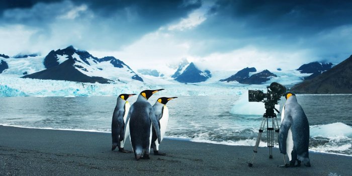 1920x1080 Pittsburgh Penguins Desktop Wallpaper - (31+ images)