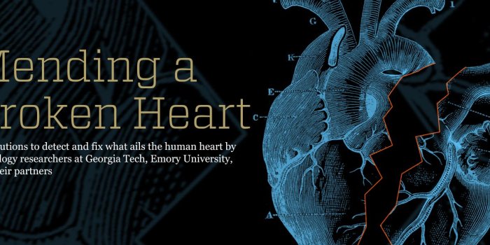 1500x600 Mending a Broken Heart | Research Horizons | Georgia Tech's Research