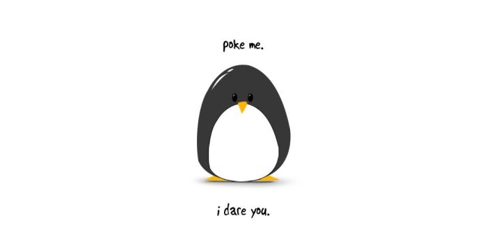 1024x768 Download Cute Penguin Wallpaper wallpaper Cute Penguin Wallpaper hd