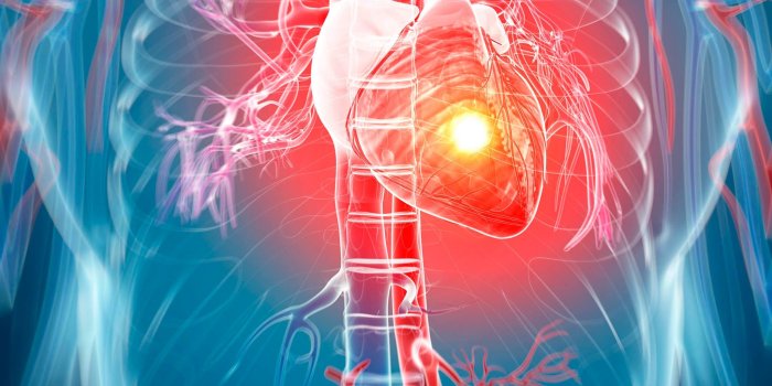 2048x1536 cardiology - latest news, breaking stories and comment - The Independent