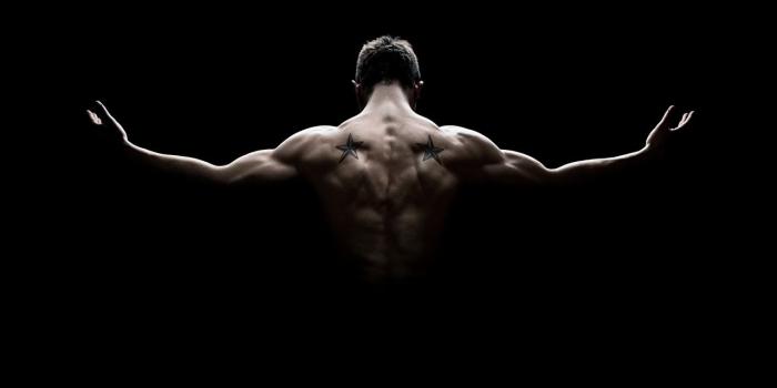 1280x778 Wallpaper Man Muscle Human back Black background