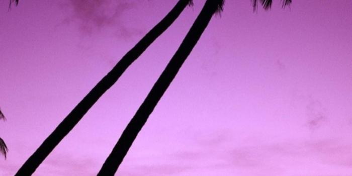 2160x3840 2160x3840 Background HD Wallpaper - 619