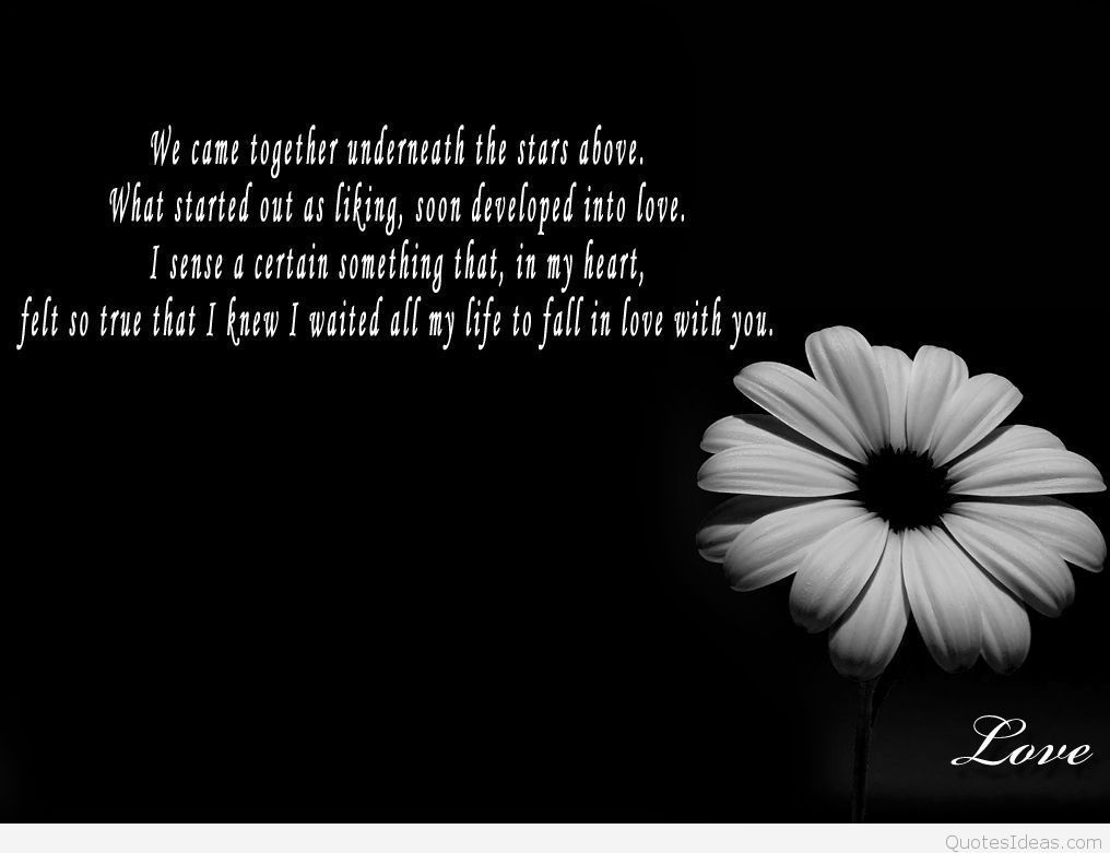 1016x781 Stars together love quote hd wallpaper