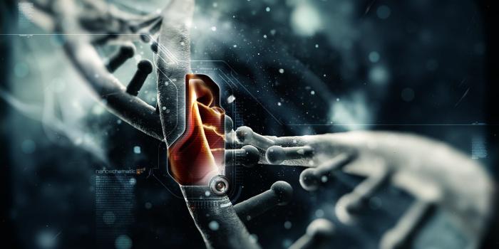 2560x1600 65+ Hd Medical Wallpapers on WallpaperPlay