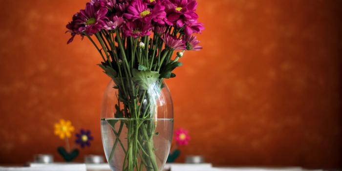 2560x1600 Flower Vase Wallpaper HD 619 2560 x 1600 - WallpaperLayer.com